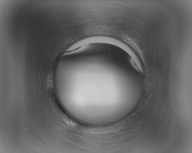 X0000071950017200608041605