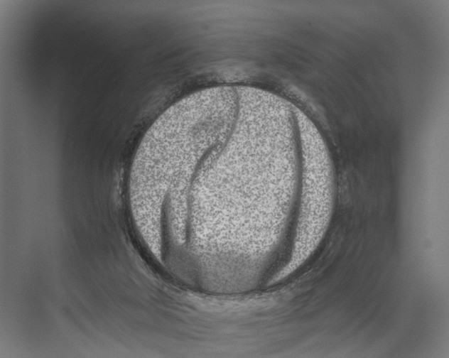 X0000071950018200608041605