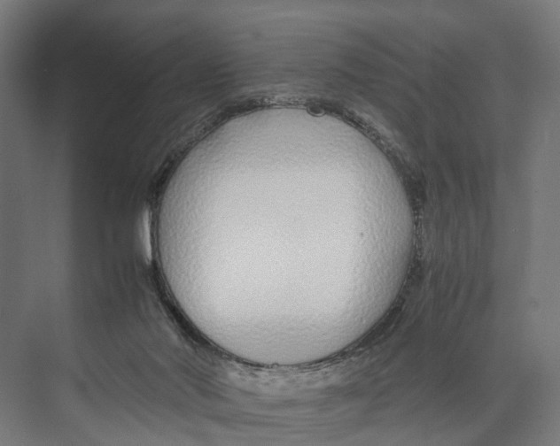 X0000071950022200608041605