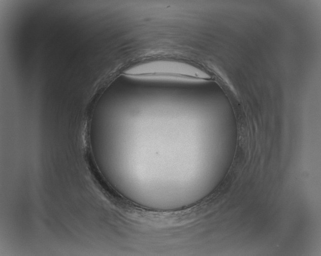 X0000071950023200608041605