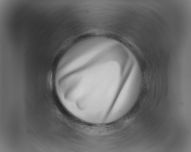 X0000071950024200608041605