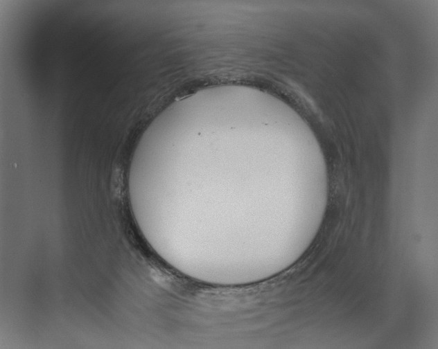 X0000071950025200608041605