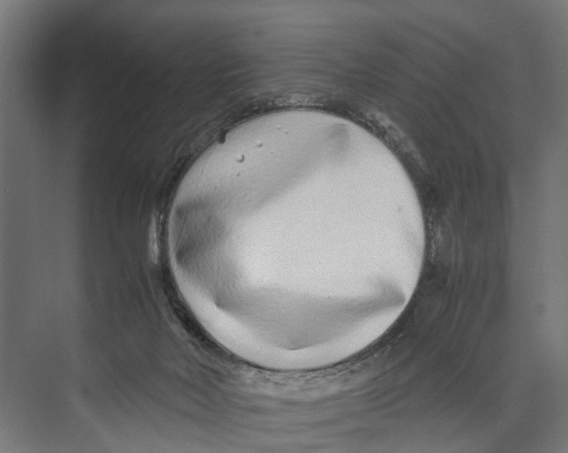 X0000071950026200608041605