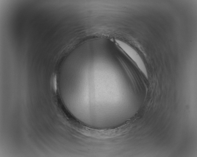 X0000071950027200608041605