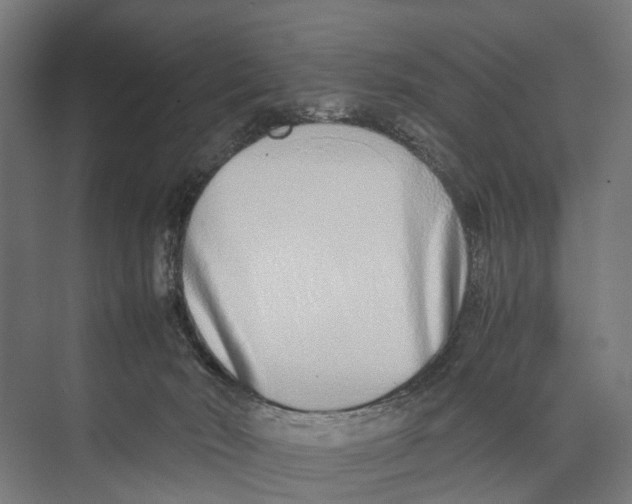 X0000071950030200608041605