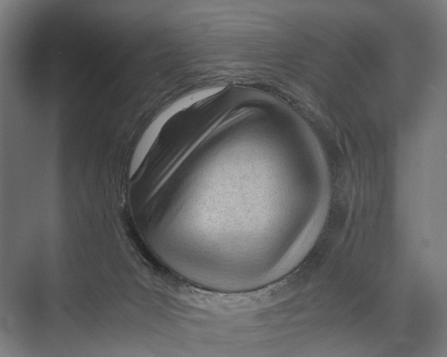 X0000071950031200608041605