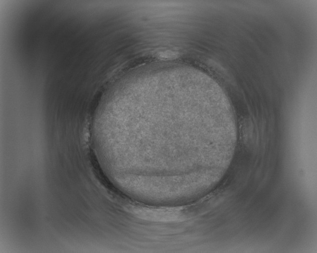 X0000071950032200608041605