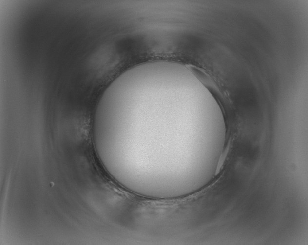 X0000071950033200608041605