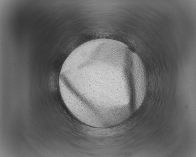 X0000071950034200608041605