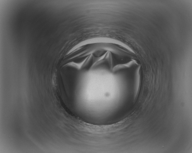 X0000071950035200608041605