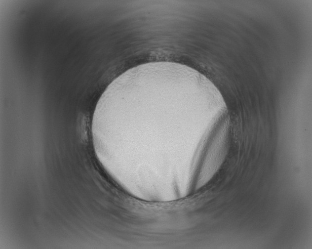 X0000071950038200608041605