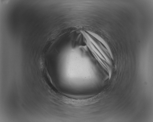 X0000071950039200608041604