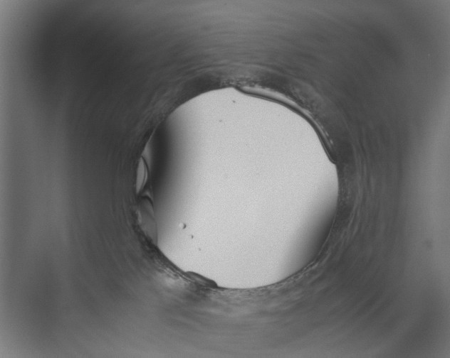 X0000071950041200608041604