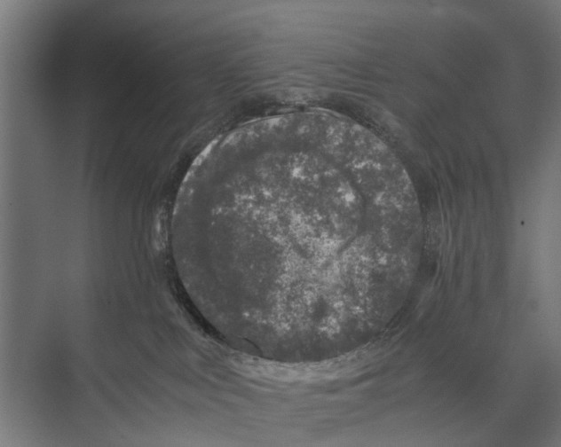 X0000071950043200608041604