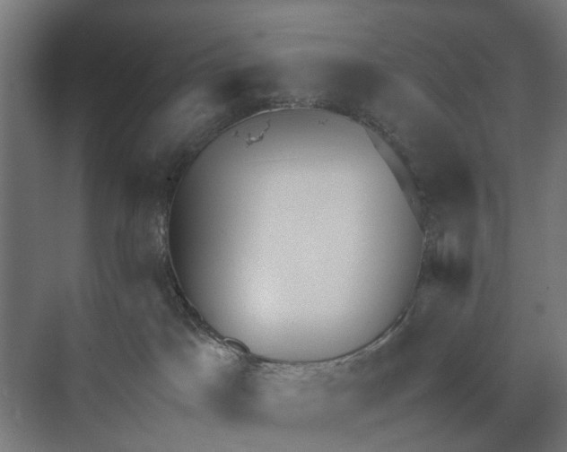 X0000071950045200608041604