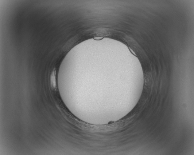 X0000071950046200608041604