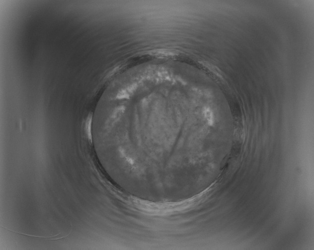 X0000071950047200608041604