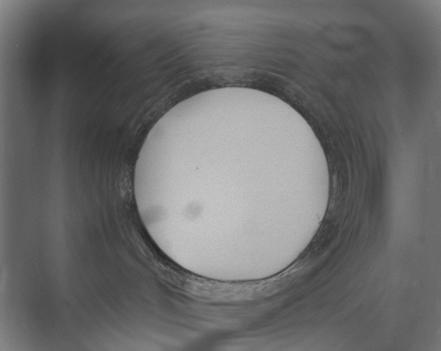 X0000071950048200608041604