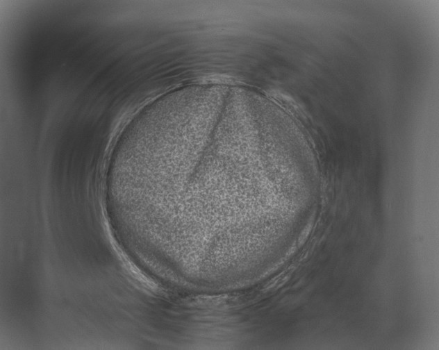 X0000071950049200608041604