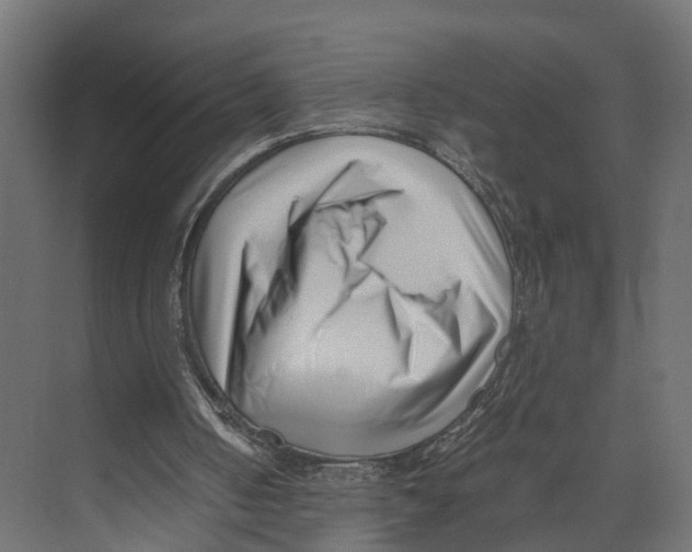 X0000071950050200608041604