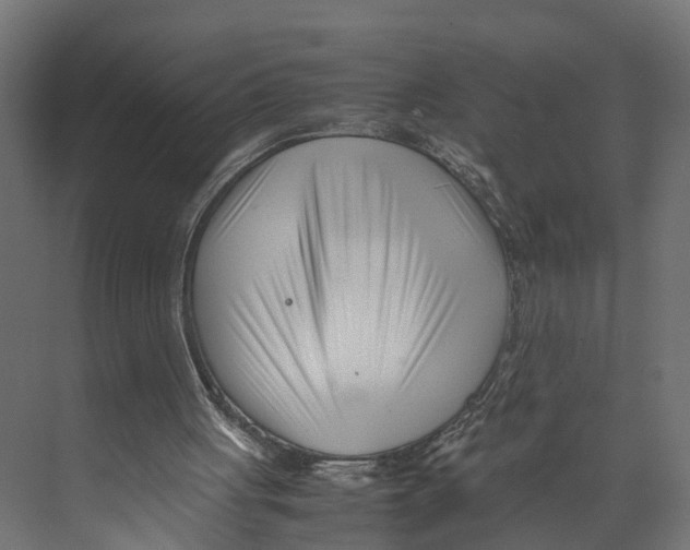 X0000071950051200608041604