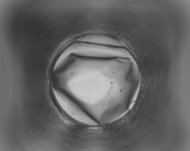 X0000071950053200608041604