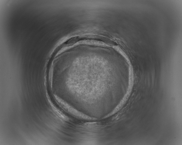 X0000071950054200608041604