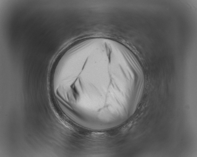 X0000071950055200608041604