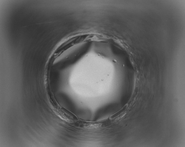 X0000071950056200608041604