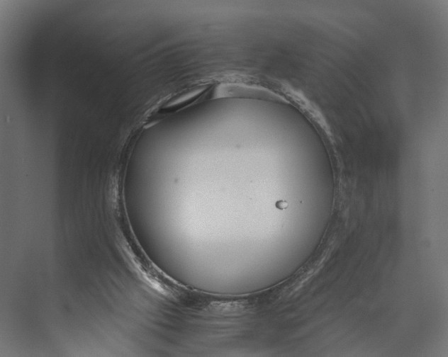 X0000071950057200608041604