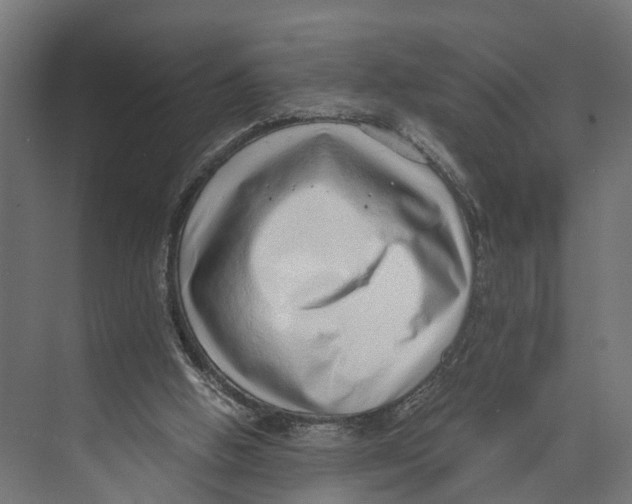 X0000071950058200608041604