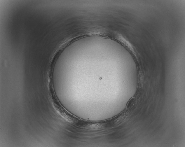 X0000071950059200608041604