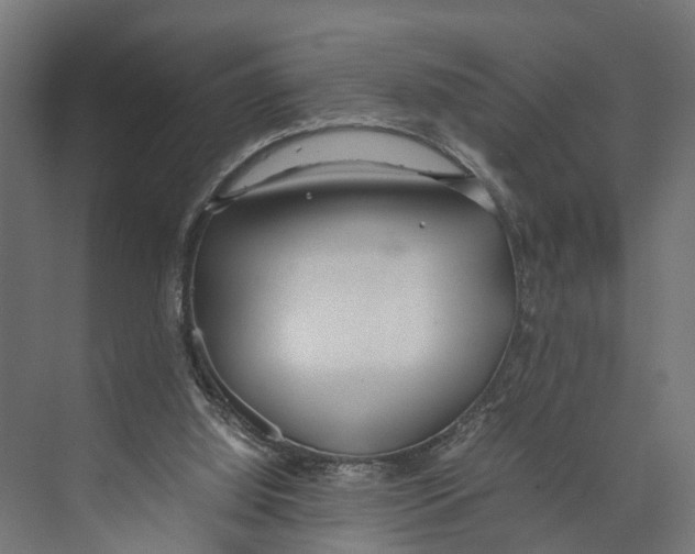 X0000071950060200608041604