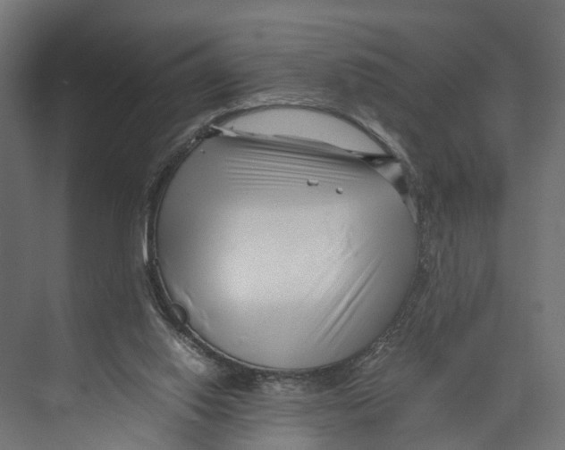 X0000071950062200608041604