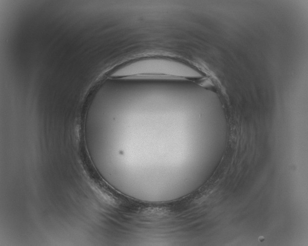 X0000071950063200608041604