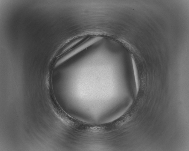 X0000071950064200608041604