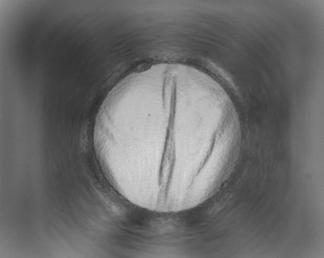 X0000071950065200608041604