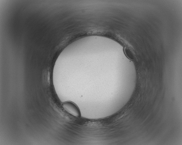 X0000071950067200608041604