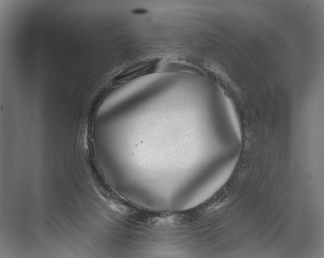 X0000071950068200608041604