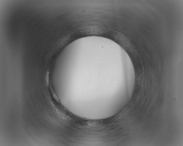 X0000071950070200608041604