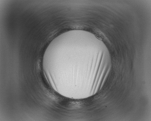 X0000071950071200608041604