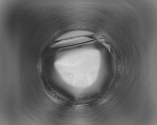 X0000071950072200608041604