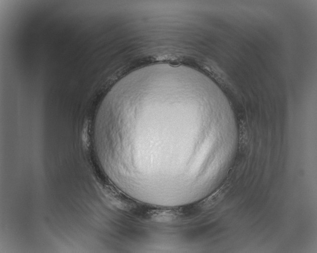 X0000071950074200608041604