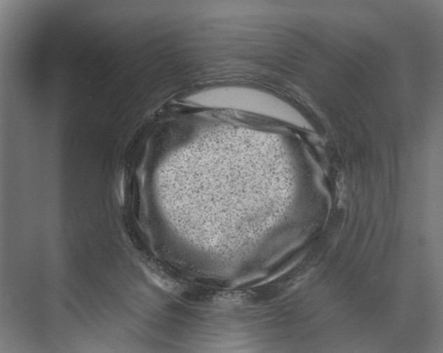 X0000071950076200608041604