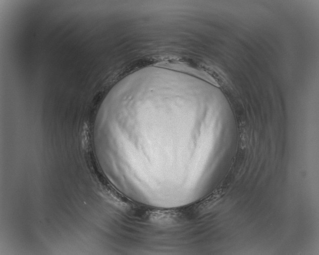 X0000071950077200608041604