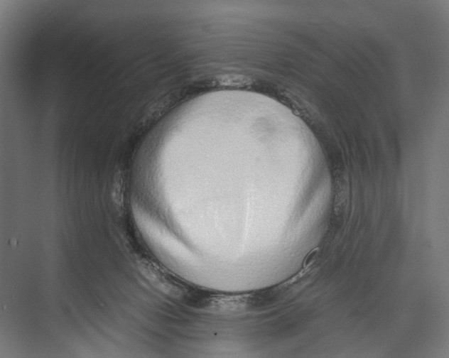 X0000071950078200608041604