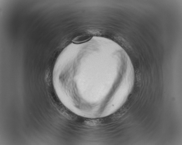 X0000071950079200608041604