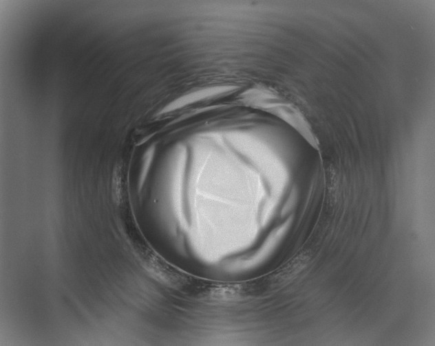 X0000071950080200608041604