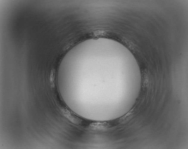 X0000071950082200608041604