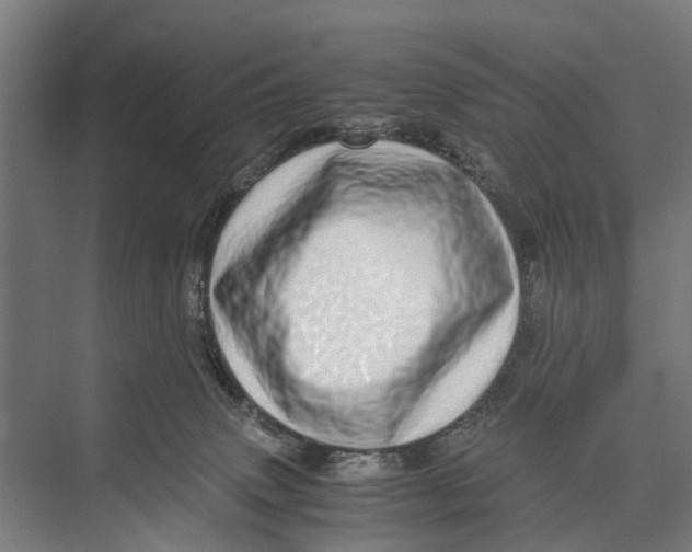 X0000071950083200608041604